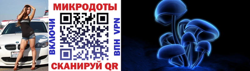Псилоцибиновые грибы Psilocybe  hydra   Сусуман 