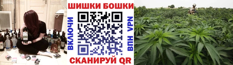 Бошки Шишки планчик  Сусуман 